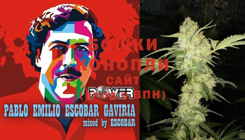 Марихуана SATIVA & INDICA  Можайск 